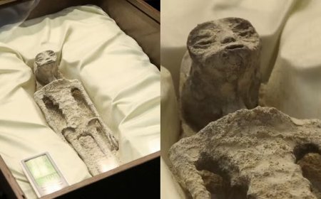 The Mexican government confirmed the existence of 'aliens'