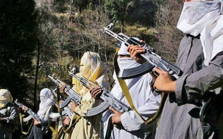 Former Tehreek-e-Taliban Swat group terrorist killed for whipping women