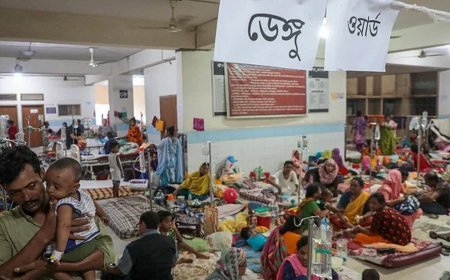 Dengue death toll in Bangladesh exceeds 800