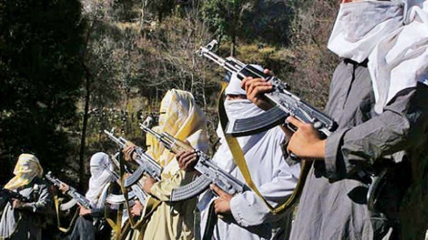 Former Tehreek-e-Taliban Swat group terrorist killed for whipping women