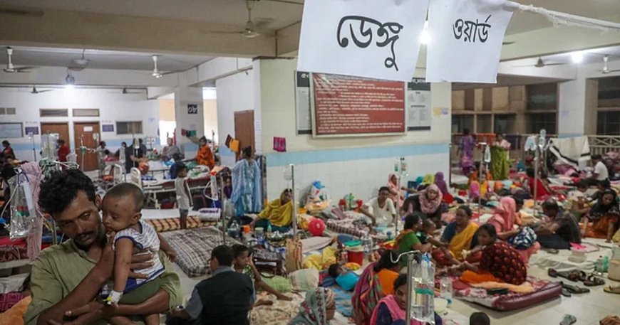 Dengue death toll in Bangladesh exceeds 800