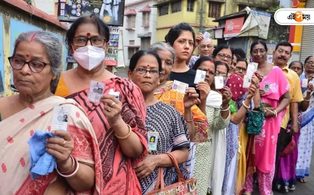 TMC: হারলেও লোকসভায় কমেছিল ব‍্যবধান...বিধানসভা উপনির্বাচনে তৃণমূলের হাতিয়ার চা বাগানের জমির পাট্টা!