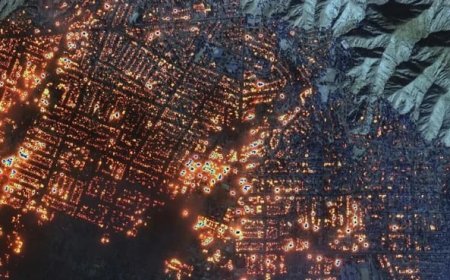 Satellite images of a fire in Los Angeles have surfaced