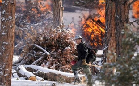 Fire and snow together in America, the world is surprised