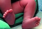 World America: Fear of losing the right to citizenship at birth, Indian couples started giving birth to children prematurely