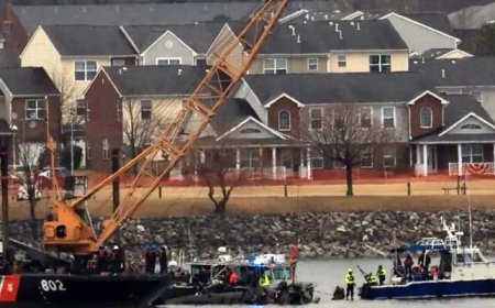 Dunya-Washington plane crash: The black box of the helicopter was found, the authorities still do not know the reasons for the accident