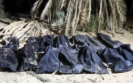 The bodies of 50 migrants were found in two mass graves in Libya  Web Desk