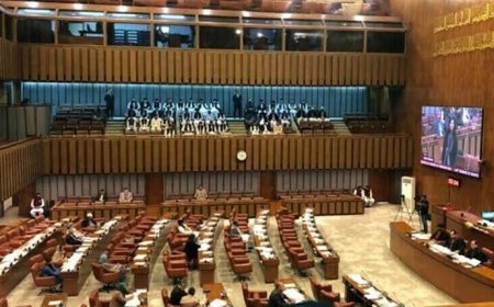 The Senate passed the controversial PICA Act amendment bill