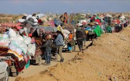 France also rejected Trump's proposal to give asylum to Palestinians from Gaza in Jordan and Egypt