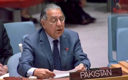 World Israel's order to stop the work of the United Nations aid agency UNRWA, condemns Pakistan  Web Desk