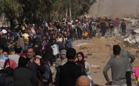 The return of citizens to the world North Gaza: The expelled Palestinians returned to their territories for the first time in history  Web Desk