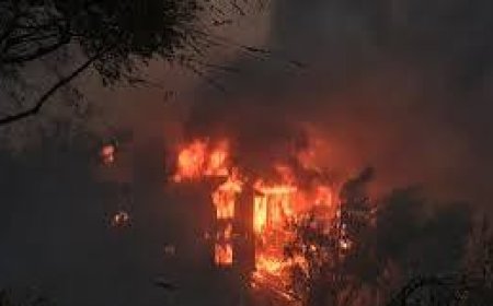 California fears floods after fire, house rents rise sharply