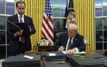 US President Trump's decision to deport illegal immigrants  Web Desk