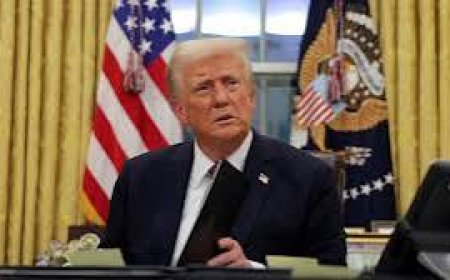 The first shock to the world Trump, the decree related to the cancellation of the birthright is temporarily suspended