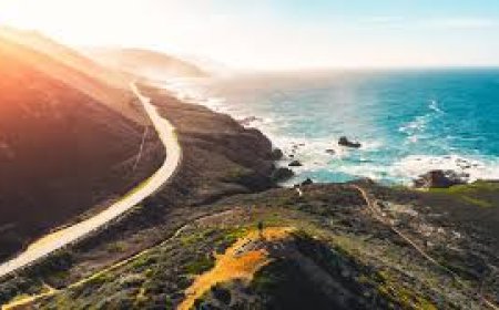 หากคุณจะใช้ชีวิตในฝันแบบแคลิฟอร์เนีย คุณจะไม่มีวันหนีจากฝันร้ายได้  ผมเป็นเด็กหนุ่มที่ใฝ่ฝันถึงเมืองพาซาดีนา เช้าวันที่สองหลังจากพายุไฟ ฉันสวมบัตรสื่อมวลชนและมุ่งหน้าไปยังเมืองอัลตาดีนา เมืองเชิงเขาที่ไม่มีการรวมตัวเป็นเขตปกครองตนเองบนชายแดนทางตอนเหนือของบ้านเกิดของฉัน เป็นการเดินทางที่ผมได้ทำมาแล้วนับพันครั้ง  ผมขับรถผ่านชีวิตของตัวเอง ผ่านวิหารยิวพาซาดีนา ซึ่งลูกชายทั้งสามของผมเคยไปโรงเรียนอนุบาล ตอนนี้ถูกทำลายไปแล้ว ผ่าน Altadena