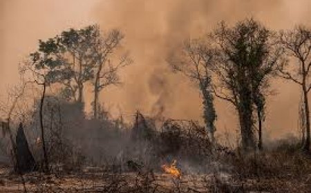 Türkiye 2024'te rekor yüksek ve düşük sıcaklıklarla aşırı hava olaylarına tanık olacak