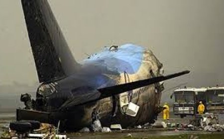 Video: Over 200 passengers stampede after plane fails to take off