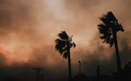 Strong winds in Los Angeles, the fire is likely to grow further