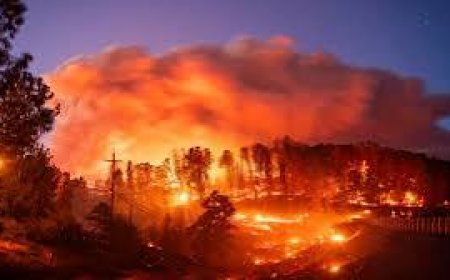 Video: Terrible fire in the forests of America is out of control, 2 dead
