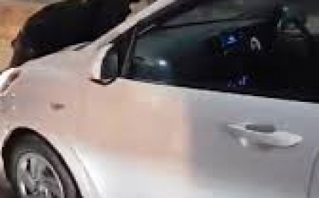 What did the driver do with the young man who climbed on the bonnet of the car?  The video went viral