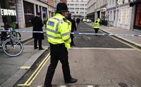 Bomb report in London, why did the police have to carry out multiple controlled explosions?