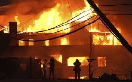 Children's schools and homes of Hollywood actors also burned in Los Angeles, video