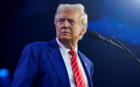 Greenland Not For Sale, Trump Gets Answer To Threat