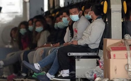 Another 120 illegal immigrants deported from the US have reached India  Web Desk