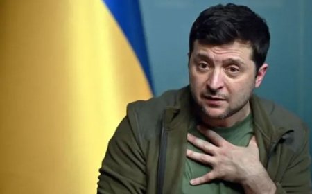 The world will not accept any agreement that does not include Ukraine: Zelensky  Web Desk