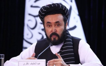 The Afghan Taliban delegation has reached Japan for the first time outside the region  Web Desk