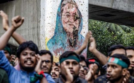 Nayashikh Hasina government committed crimes against humanity for power: United Nations