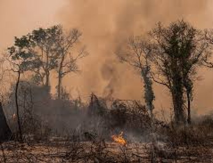 Türkiye 2024'te rekor yüksek ve düşük sıcaklıklarla aşırı hava olaylarına tanık olacak