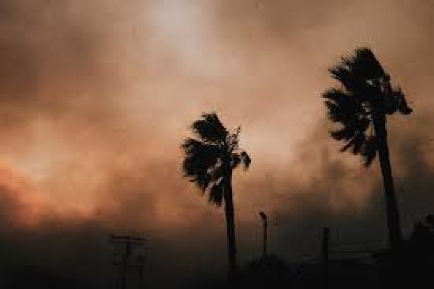 Strong winds in Los Angeles, the fire is likely to grow further