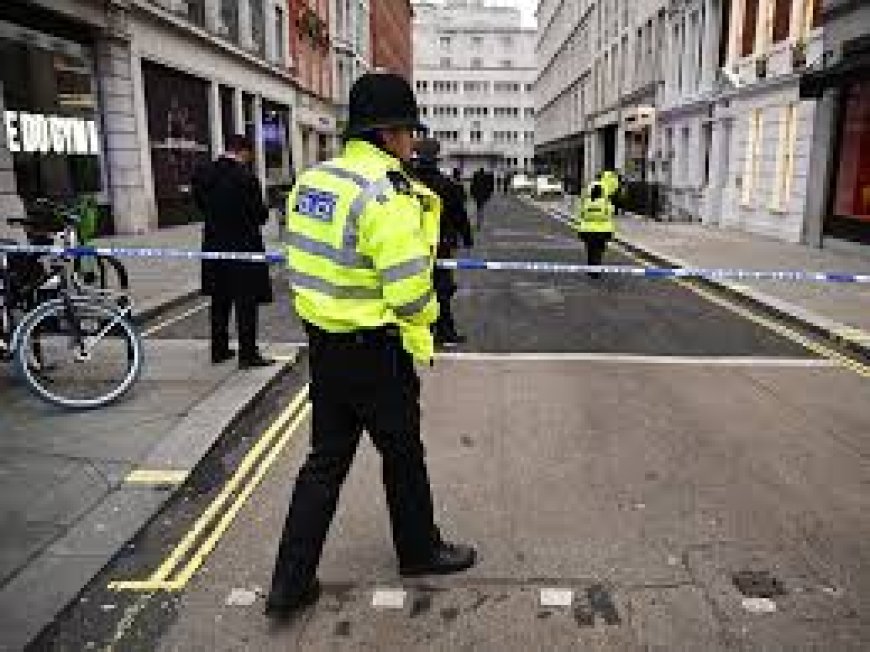 Bomb report in London, why did the police have to carry out multiple controlled explosions?