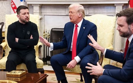 The president of Ukraine refused to apologize to Trump for his bitter words  Web Desk