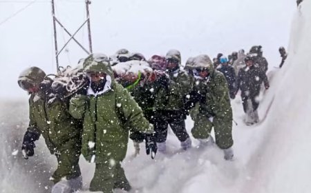 57 laborers were crushed by an avalanche in the Indian state of Uttarakhand  Web Desk February 28, 2025