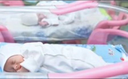 How much has the birth rate in Pakistan decreased from 6 children per woman?