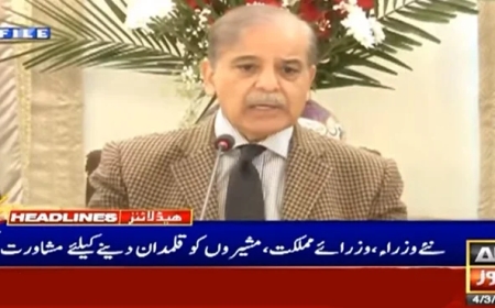 Which portfolios will be assigned to which ministers and advisers?