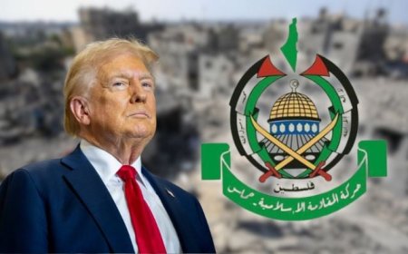The Trump administration directly contacted Hamas for the release of hostages in Gaza, American media revealed