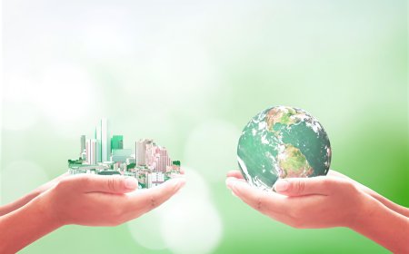 The Rise of Sustainable Construction in 2025