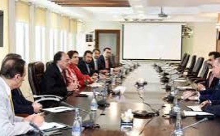 Govt committed to accelerate privatisation process: FinMin Aurangzeb