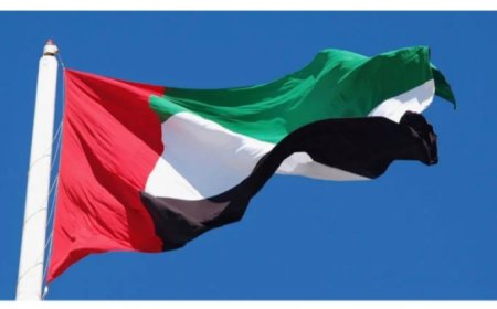 یو اے ای جانے کے خواہشمند پاکستانیوں کیلئے خوشخبری، ویزا مسائل ح