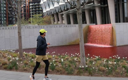 Gaza War: Why did pond water at US embassy turn blood red?