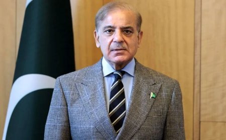 وزیر اعظم شہباز نے افغان حکومت پر زور دیا کہ وہ پاکستان کے اندر حملوں میں ملوث دہشت گرد گروپوں کو لگام دے۔