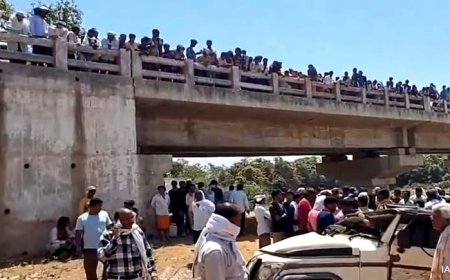 मध्य प्रदेश में वाहन पुल से गिरा, एक ही परिवार के 8 लोगों की मौत, 6 घायल