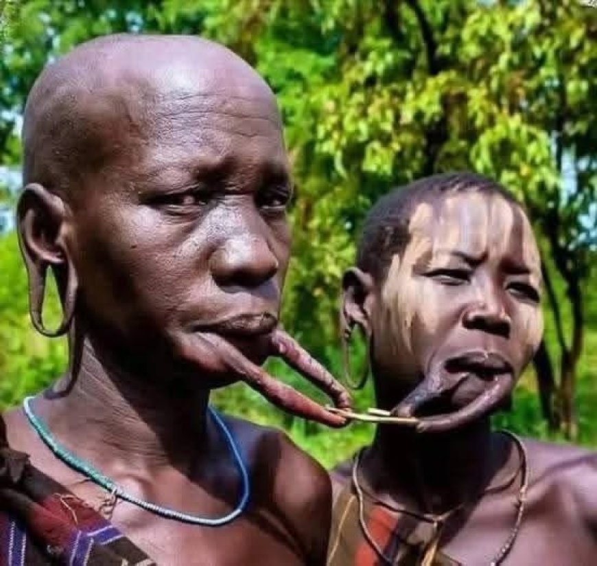 مرسی قبیلہ – ایتھوپیا کی منفرد ثقافت مُرسی قبیلہ، جو ایتھوپیا میں آباد ہے، اپنی انوکھی روایات کی وجہ سے دنیا بھر میں مشہور ہ