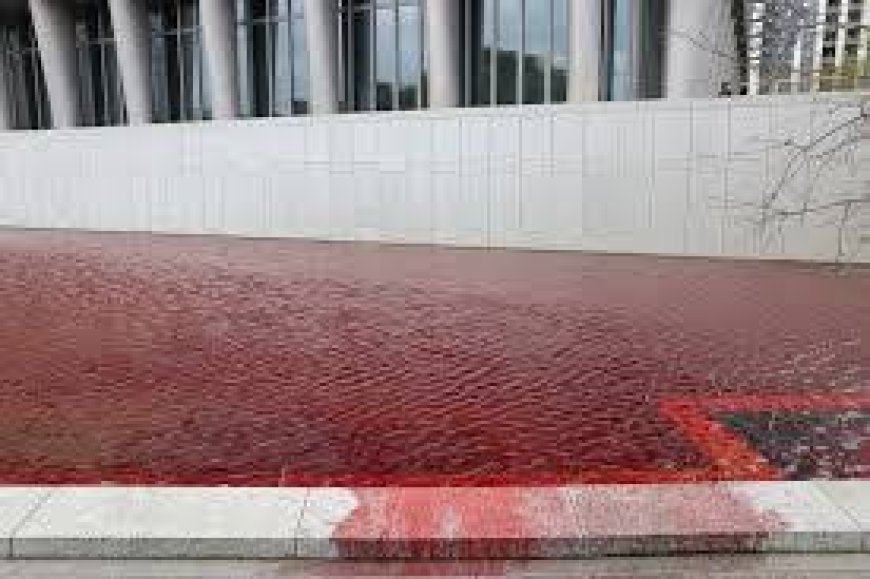 Gaza War: Why did pond water at US embassy turn blood red?