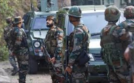 بھارتی فوجی ، اسرائیلی خاتون افسر کو جنسی ہراسانی کا نشانہ بناڈالا