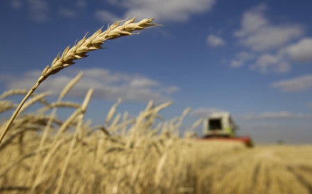 پنجاب حکومت سے مذاکرات کے بعد فلور ملز نے ہڑتال ختم کر دی۔