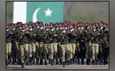 ’پاکستانی فوج بہت تگڑی ہے‘، سابق بھارتی ائیر مارشل کا پاک فوج کی طاقت کا اعتراف